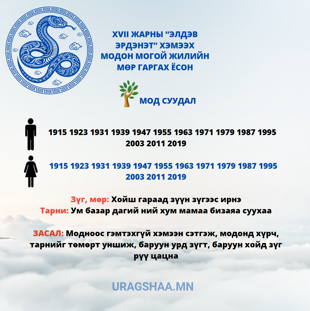 XVII ЖАРНЫ “ЭЛДЭВ ЭРДЭНЭТ“ ХЭМЭЭХ МОГОЙ ЖИЛИЙН ЗҮГ МӨР ГАРГАХ ЗУРХАЙ XVII ЖАРНЫ “ЭЛДЭВ ЭРДЭНЭТ“ ХЭМЭЭХ МОГОЙ ЖИЛИЙН ЗҮГ МӨР ГАРГАХ ЗУРХАЙ